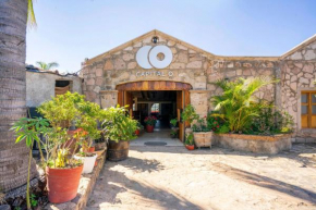 Capital O Hotel Posada Terraza, Tequila Jalisco